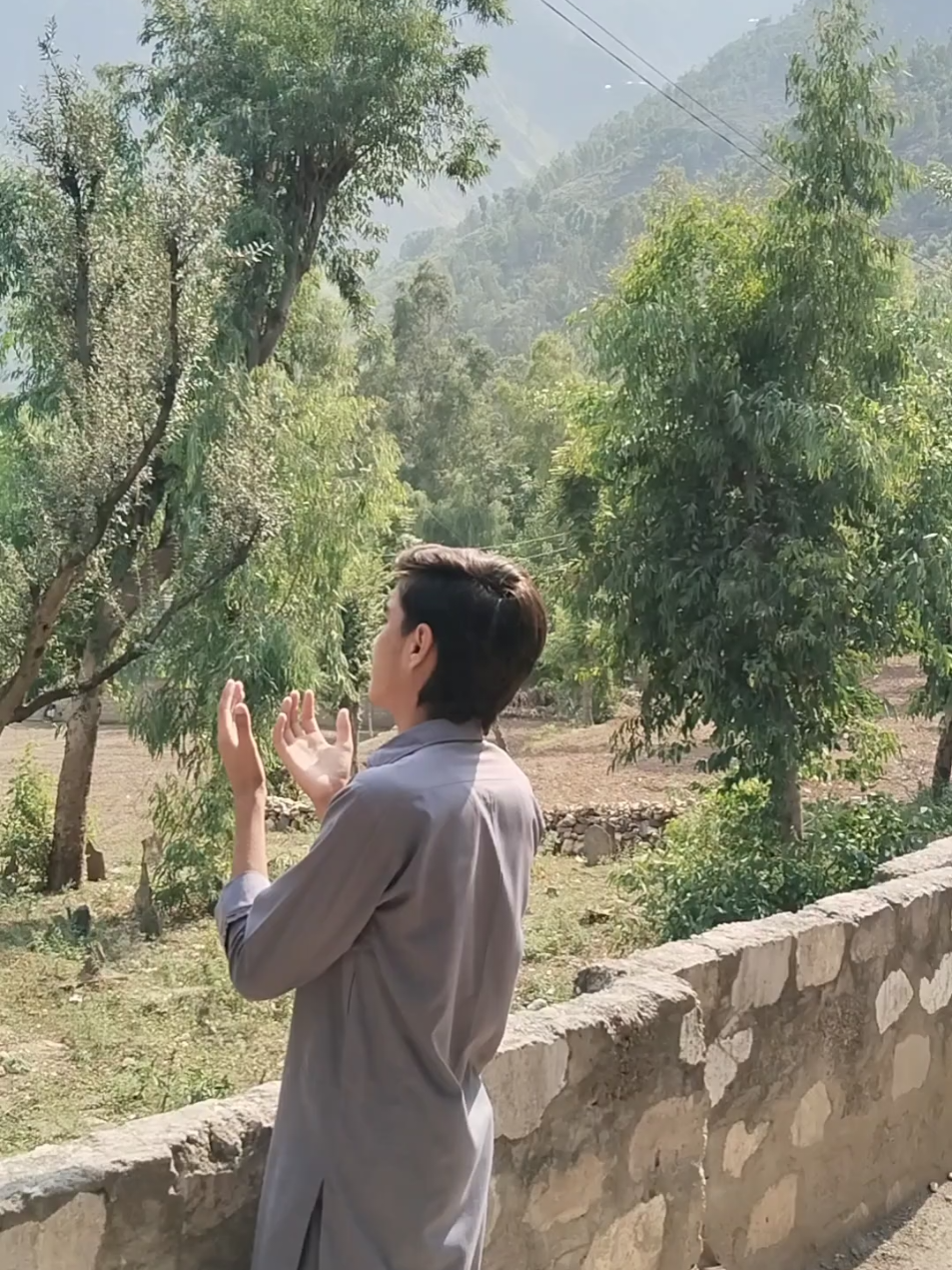 @Barkaliwal Vines