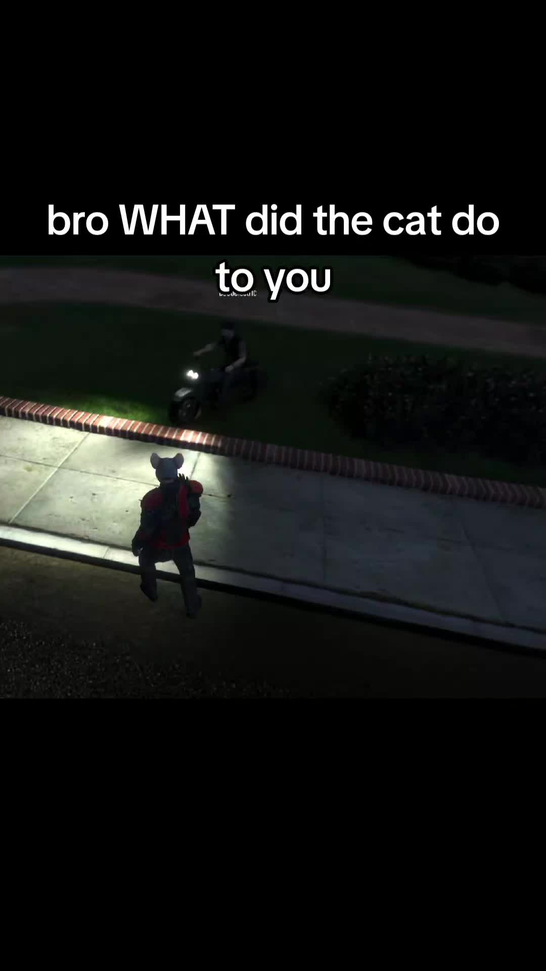 @The_randomdude