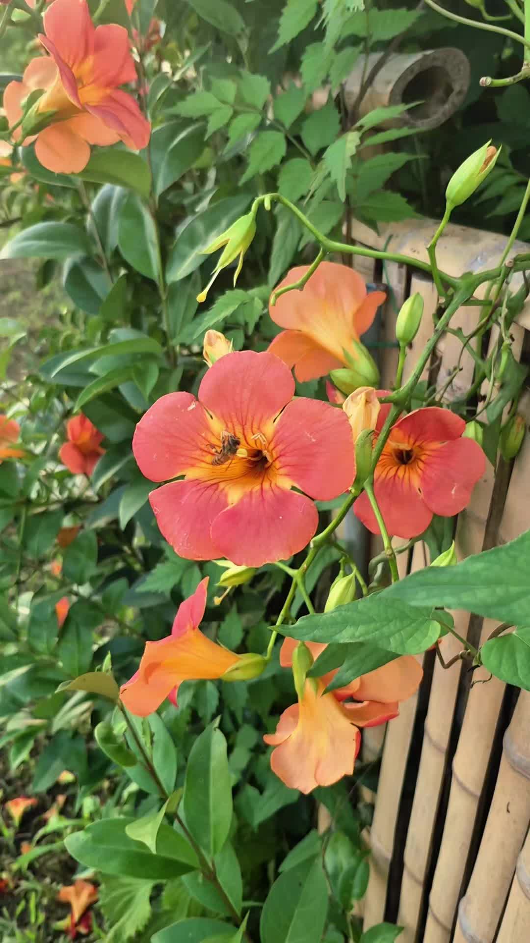 @Katee77
