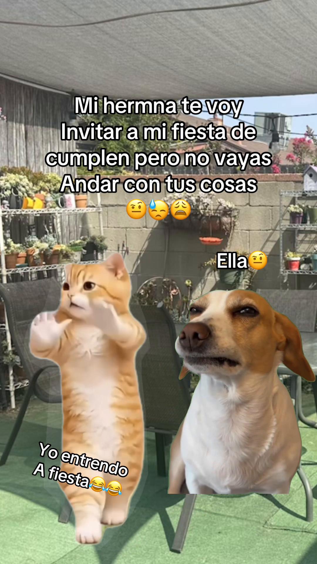 @Historia real
