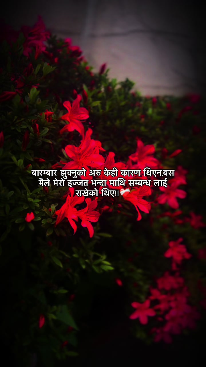 @Indira🫶🌸