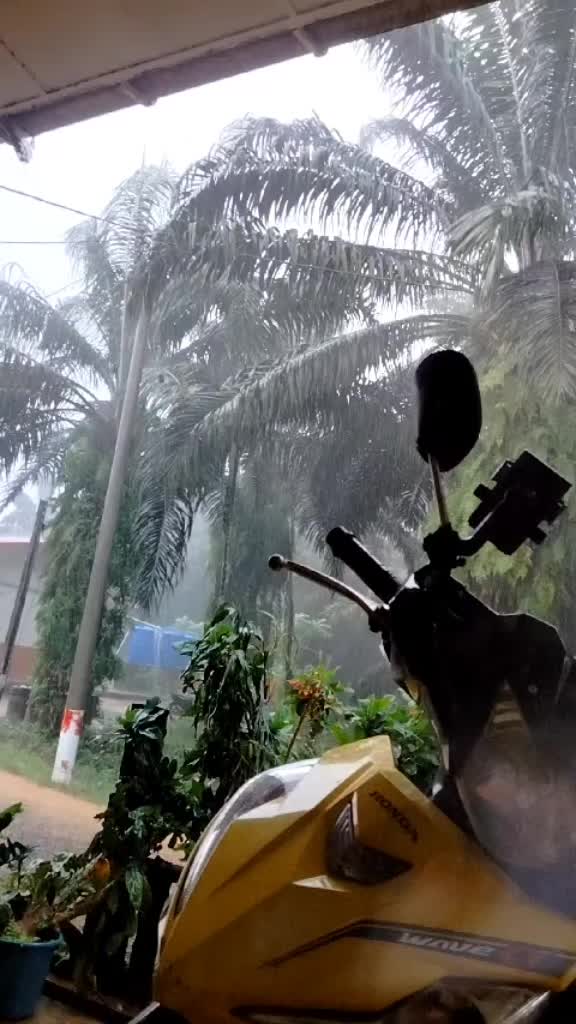 @abah