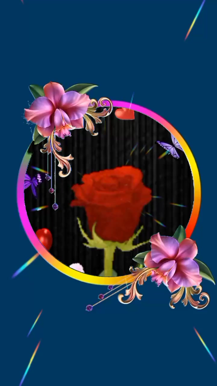 @Carmen 🌹💞
