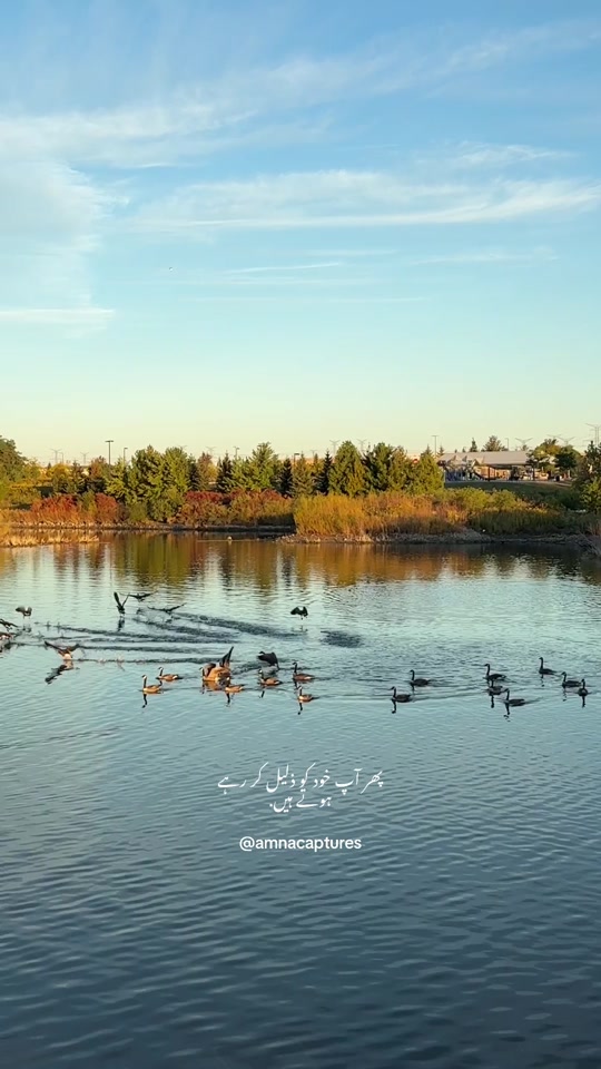 @Nature lover 🇨🇦
