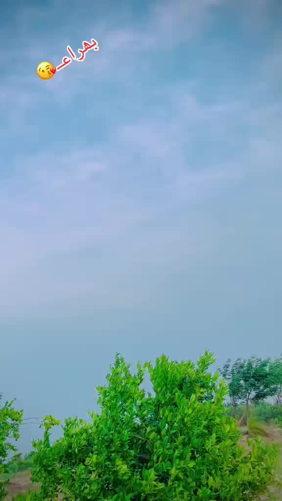 @M𝑒𝗁𝘢𝗥𝐛𝚊𝐍 𝙎h𝒶𝐇𝚒❤️&zwj;🩹