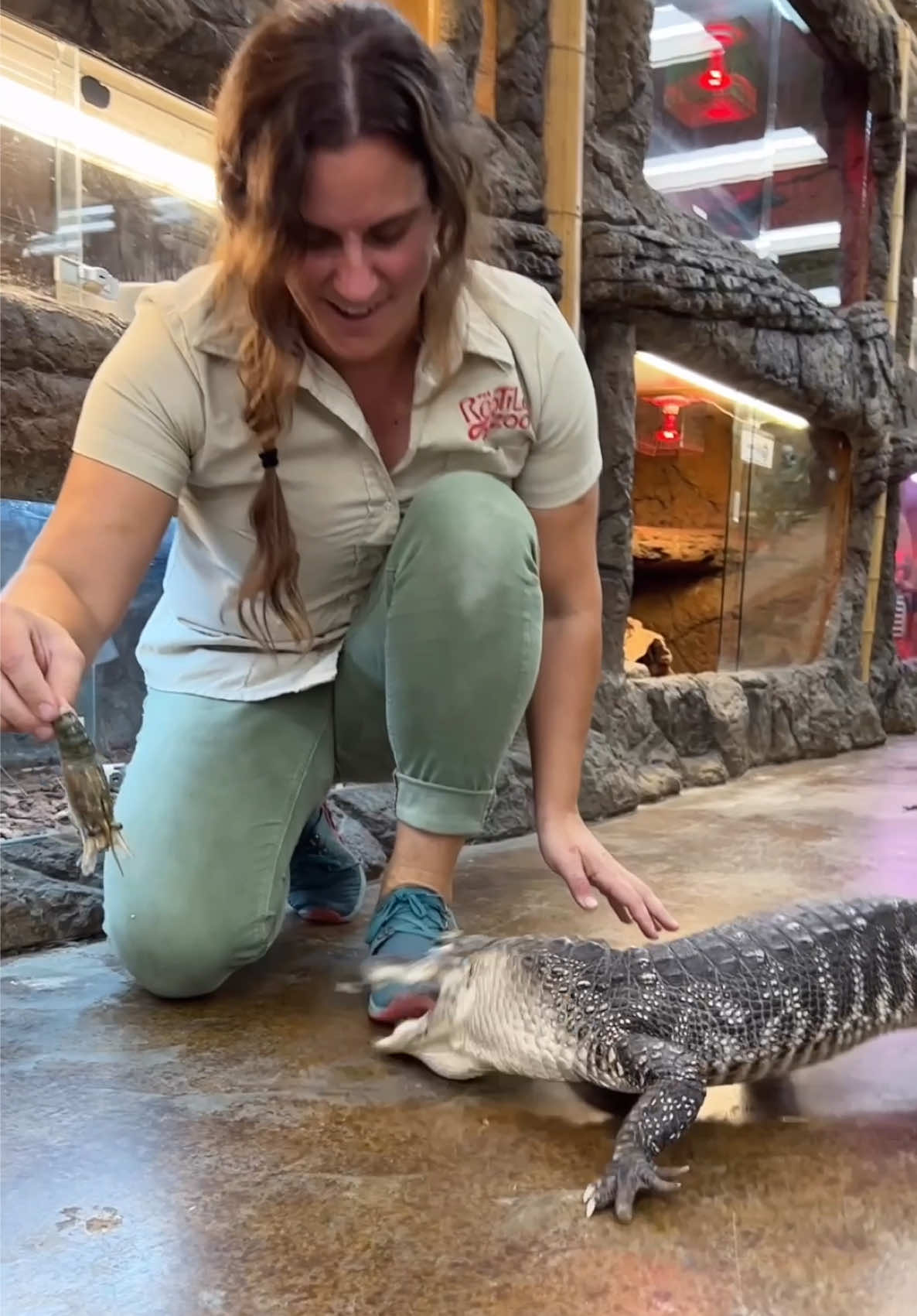 @The Reptile Zoo