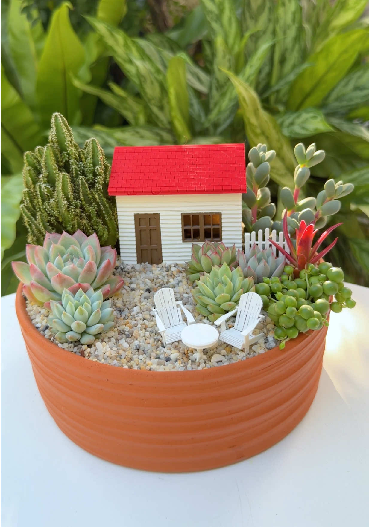 @Succulent Garden