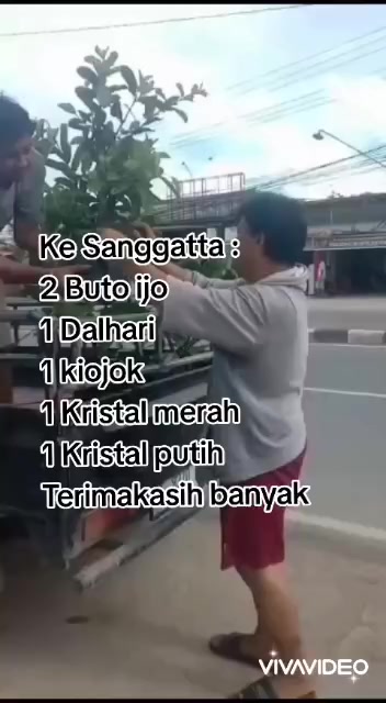 @Bibit khusus samarinda