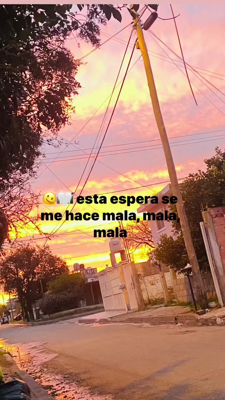@ᥫ᭡