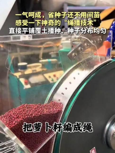 @闽南风~