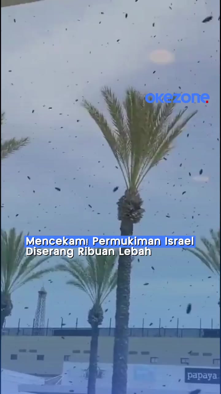 @emiaRkan