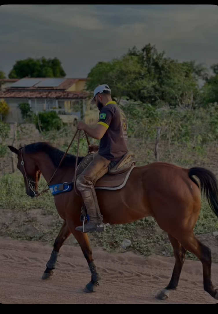 @forr&oacute; de vaquejada