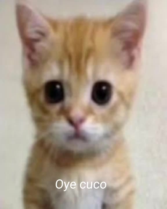 @:v