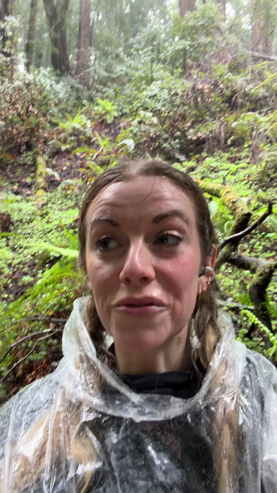 @lindsayell