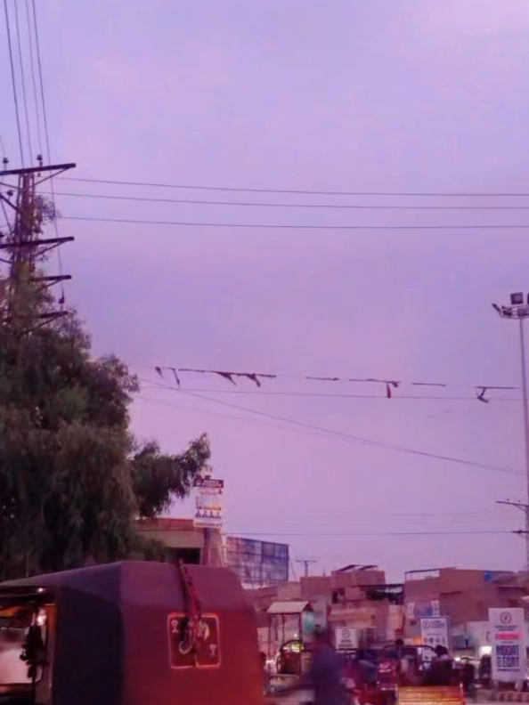 @باغی سمیجا حق سردار