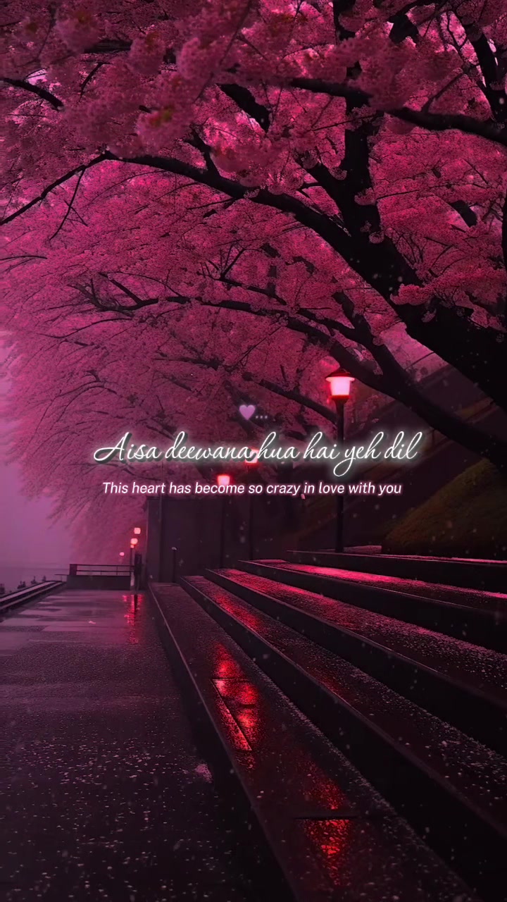 @𝒮𝒽𝒶𝓃𝒾𝑒𝓁𝒶ꫂ ၴႅၴ