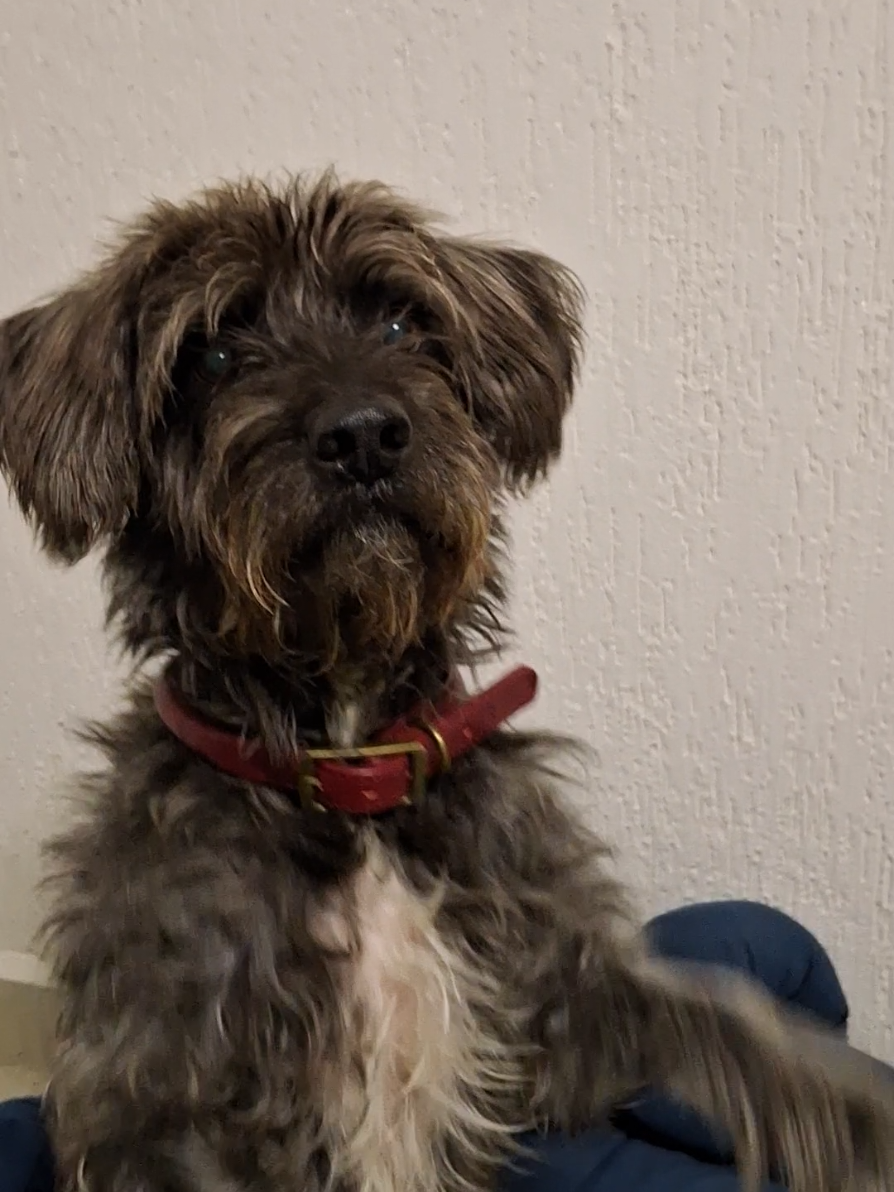 @KaryWithChef