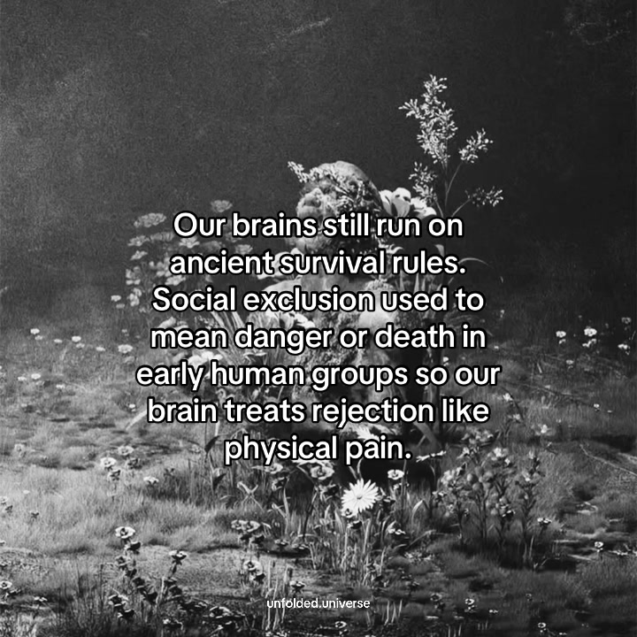 @The universe unfolded