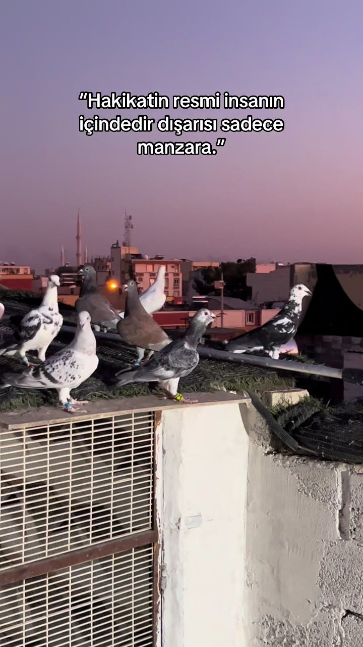 @SERHAD ÇELİK