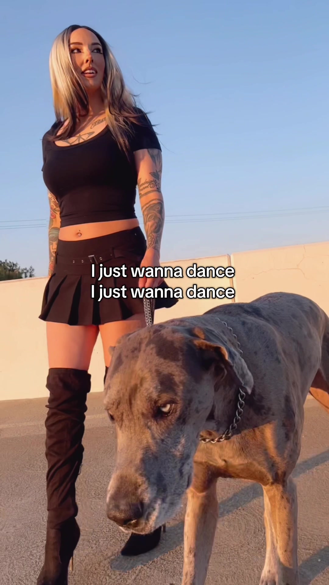 @lex 🐺⛓️