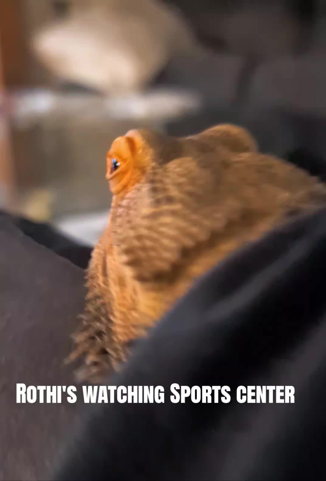 @Rockertom