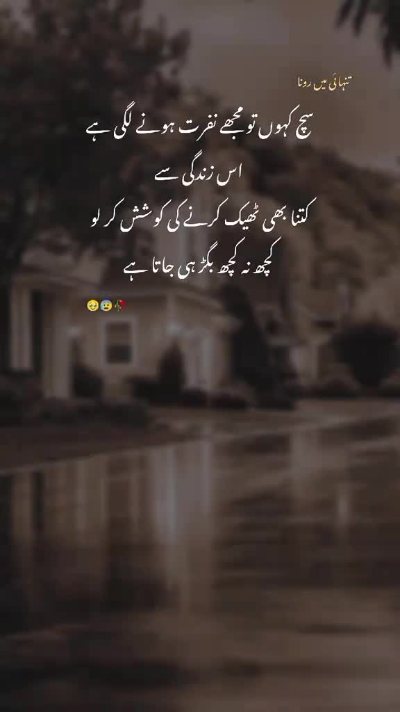 @Mah Noor Ali