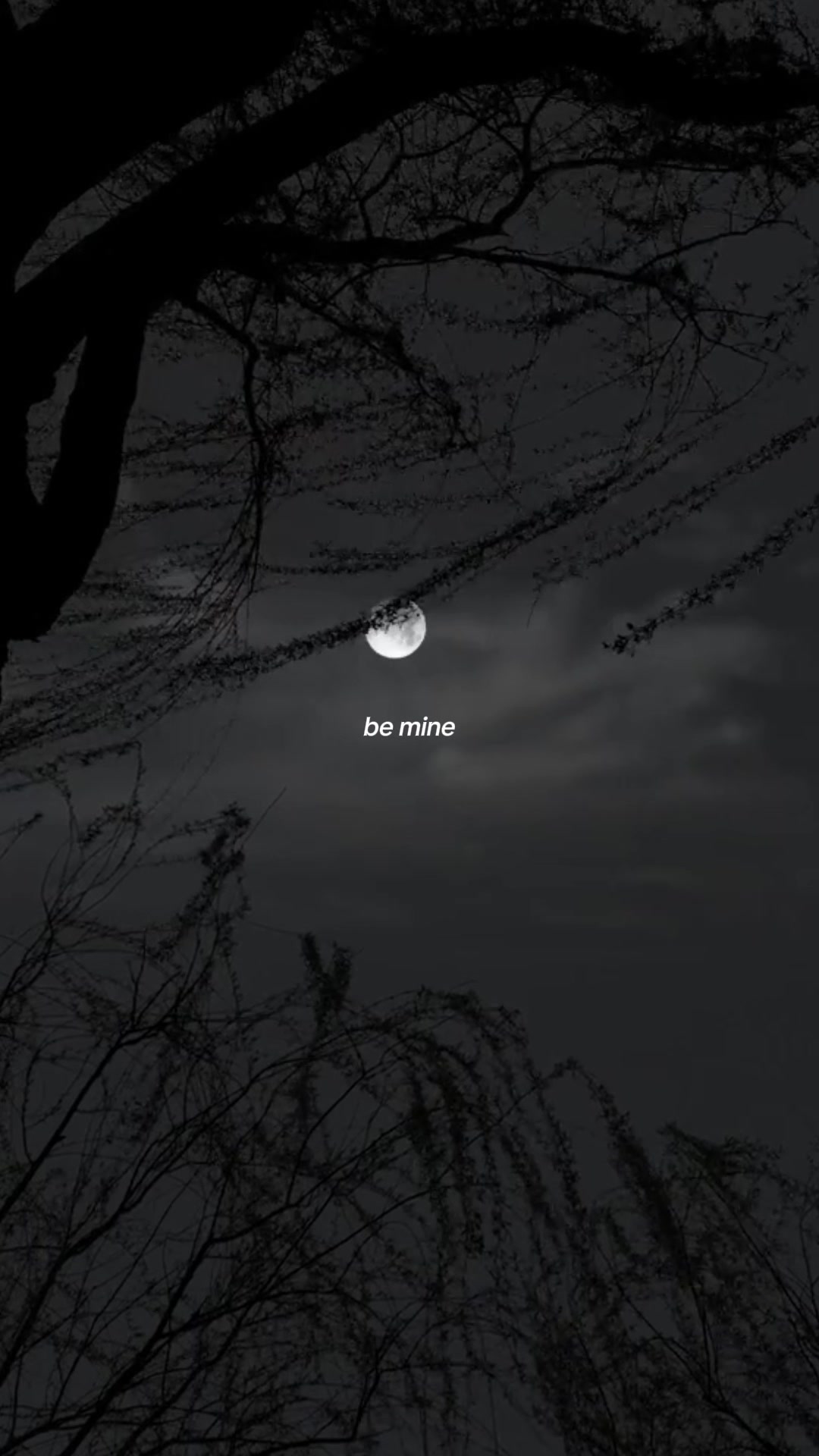 @avlxedits