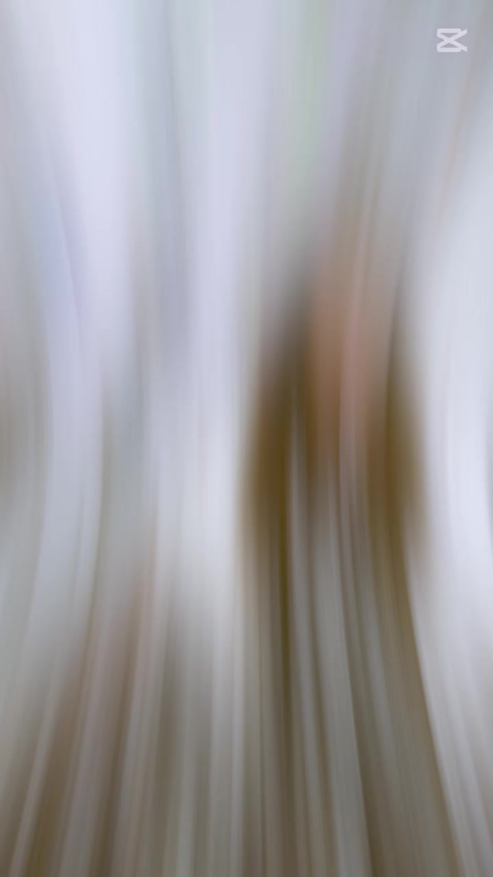 @🅢︎. 🅥︎. 𝘷𝘢𝘳𝘴𝘩𝘪𝘯𝘪