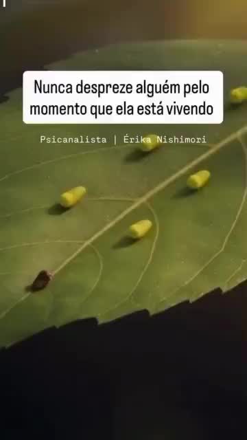 @@erikapereira