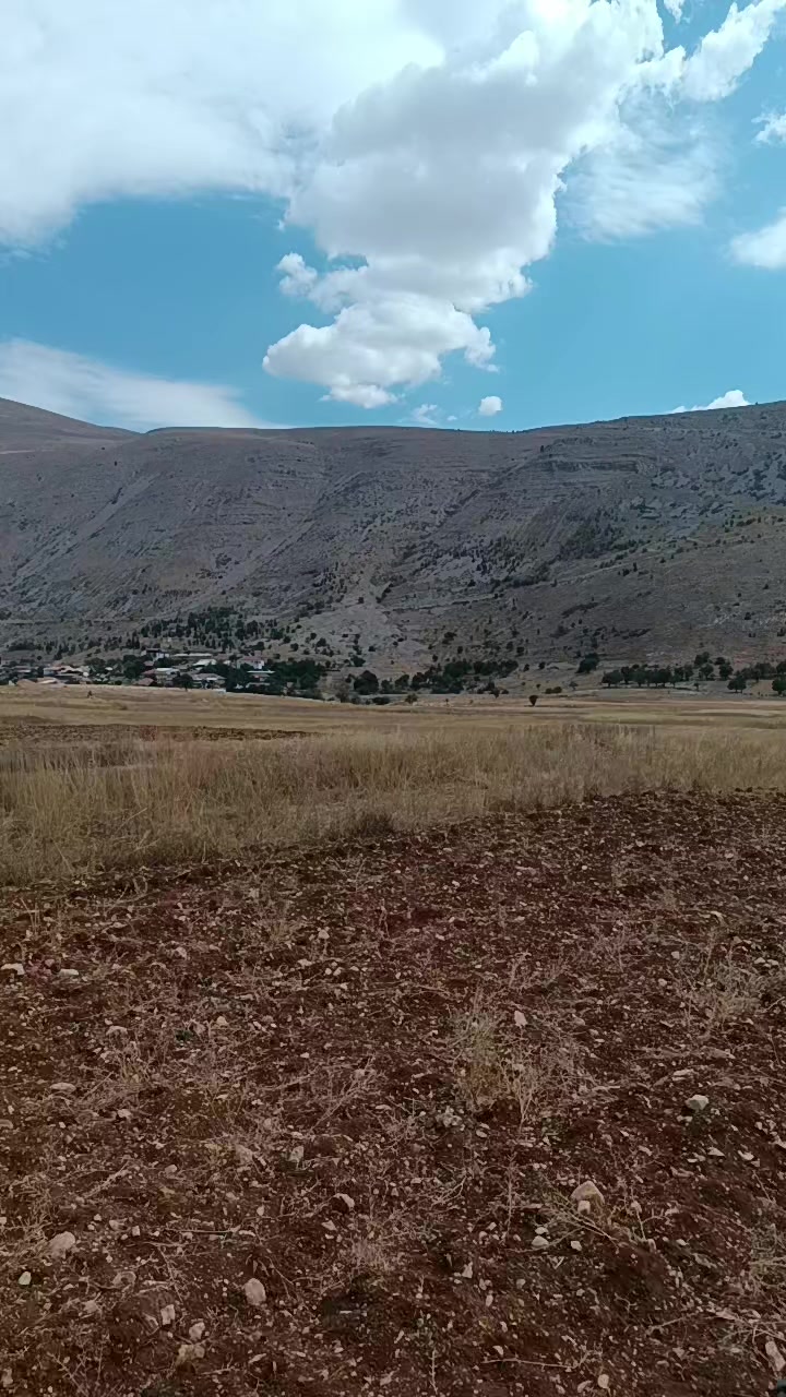 @Nazif Geriş