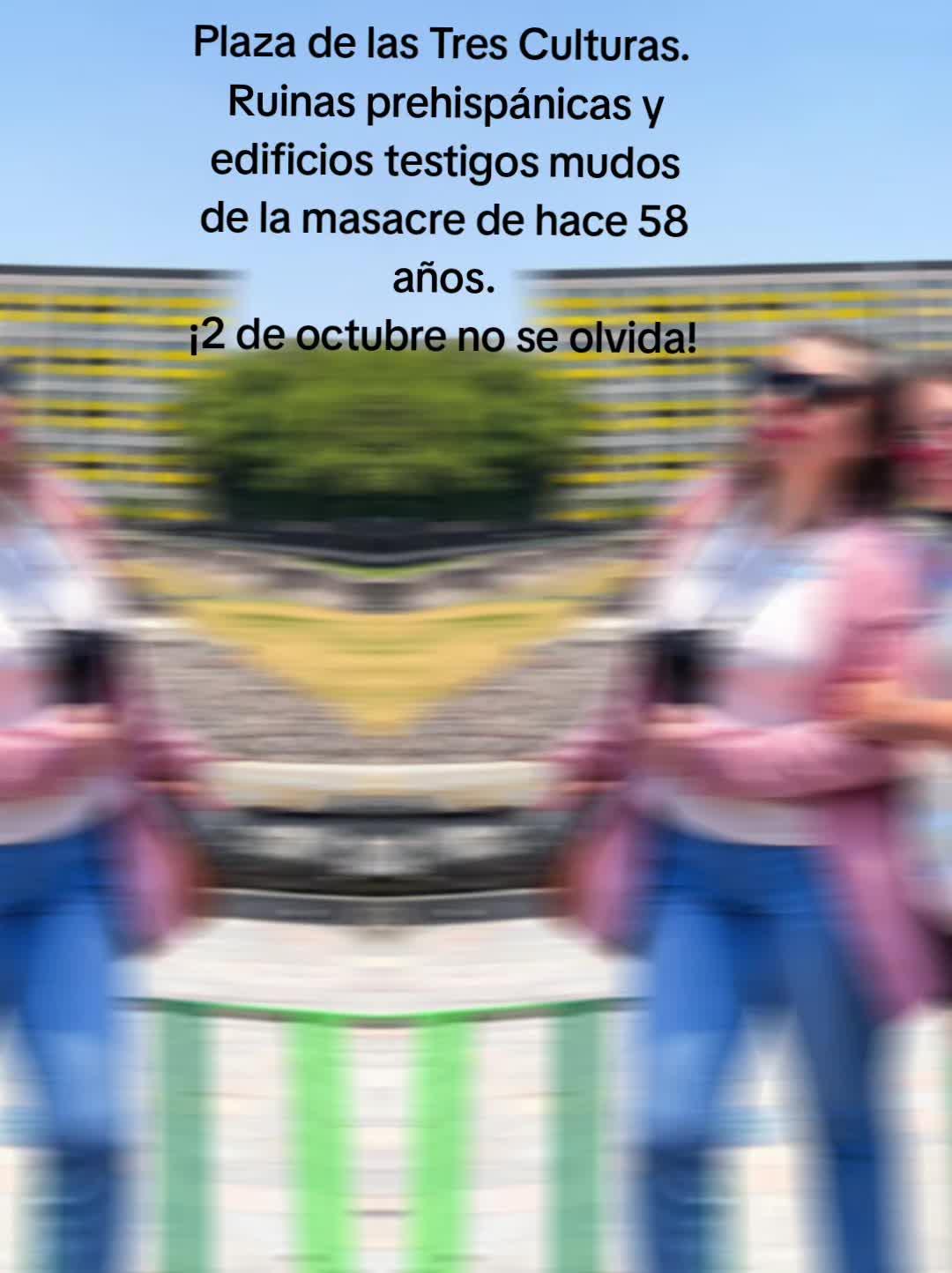 @melvamolinal