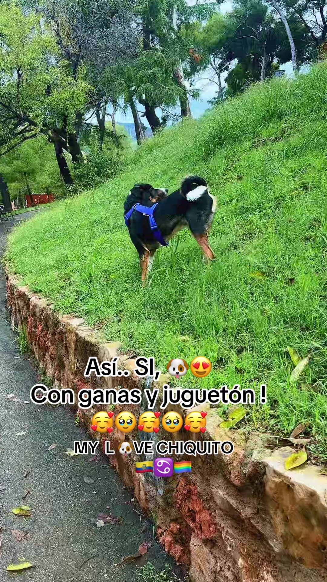 @🇪🇨♋️Emi🏳️🌈