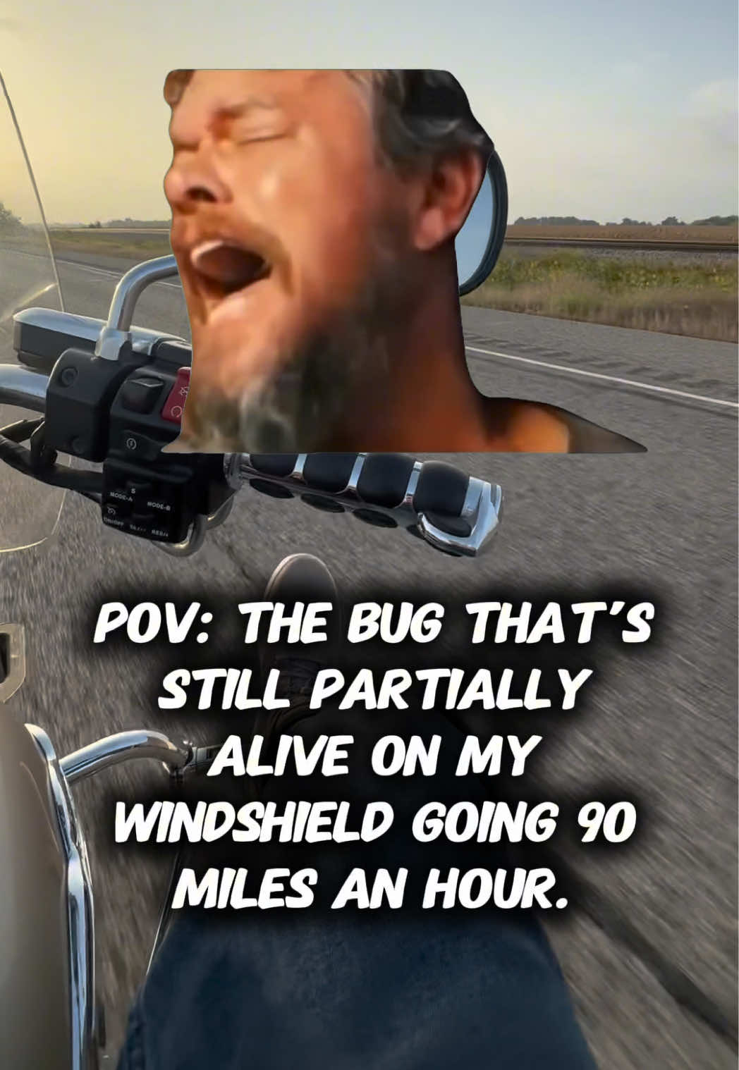 @MotoDahms