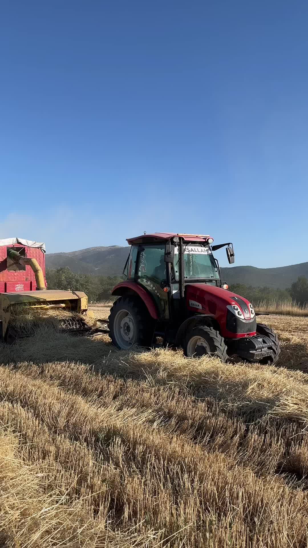 @ÅABAN KOLTKAšļø