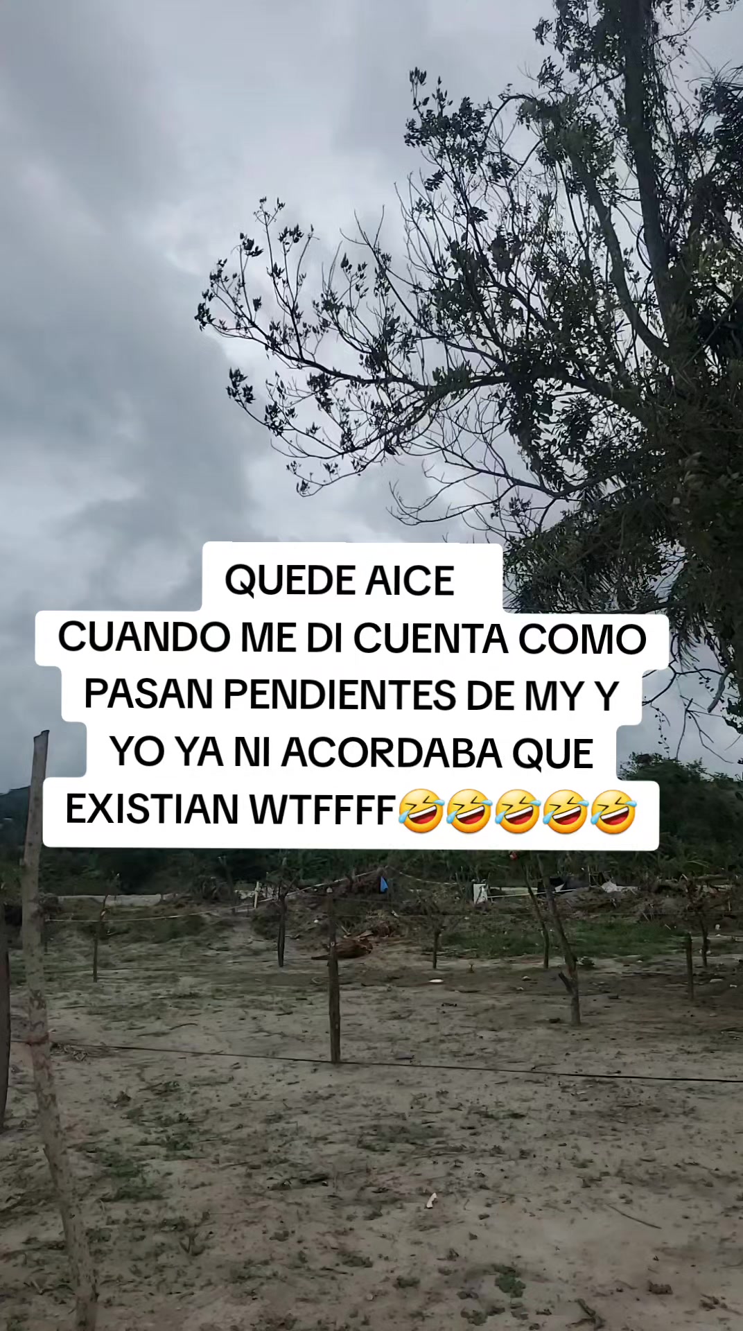 @CRISPITA 🦁🦁🦁🦁
