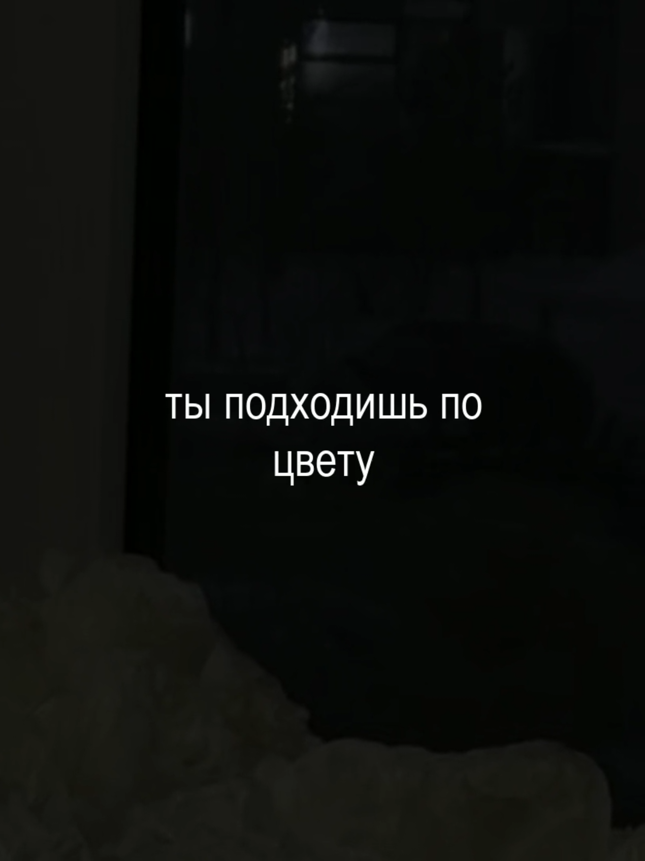 @musicfuz