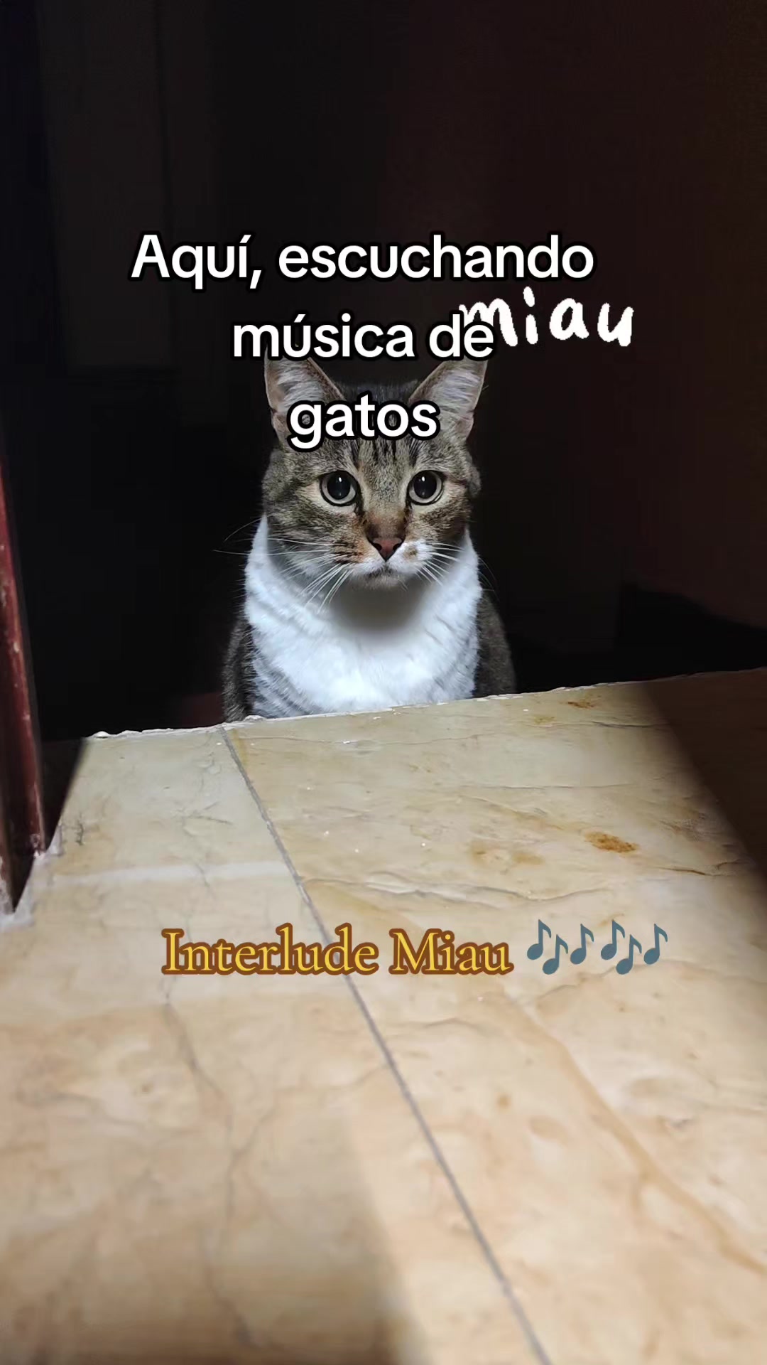@Violeta Porras - Vio