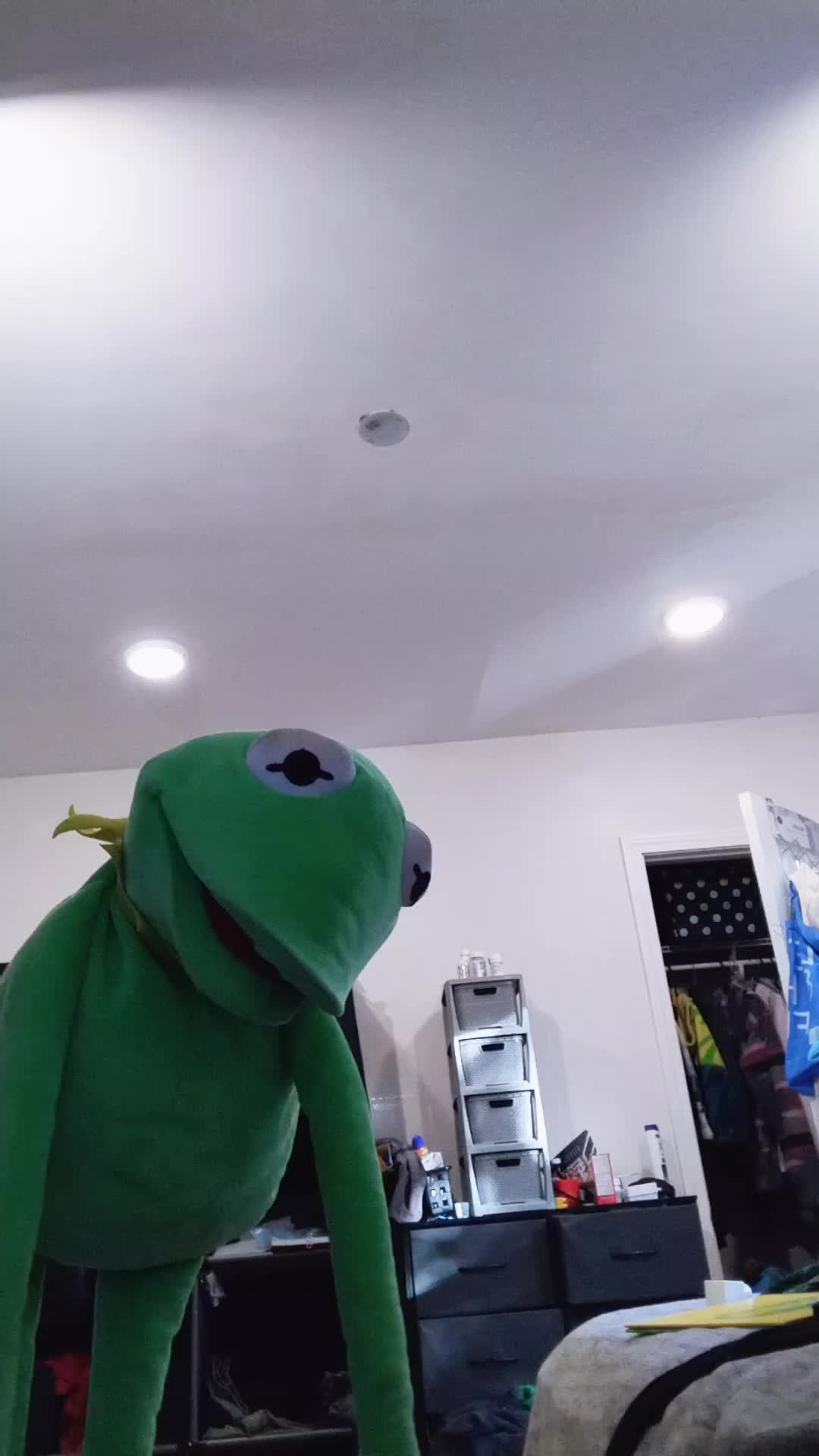 @Kermit And Friends 2026