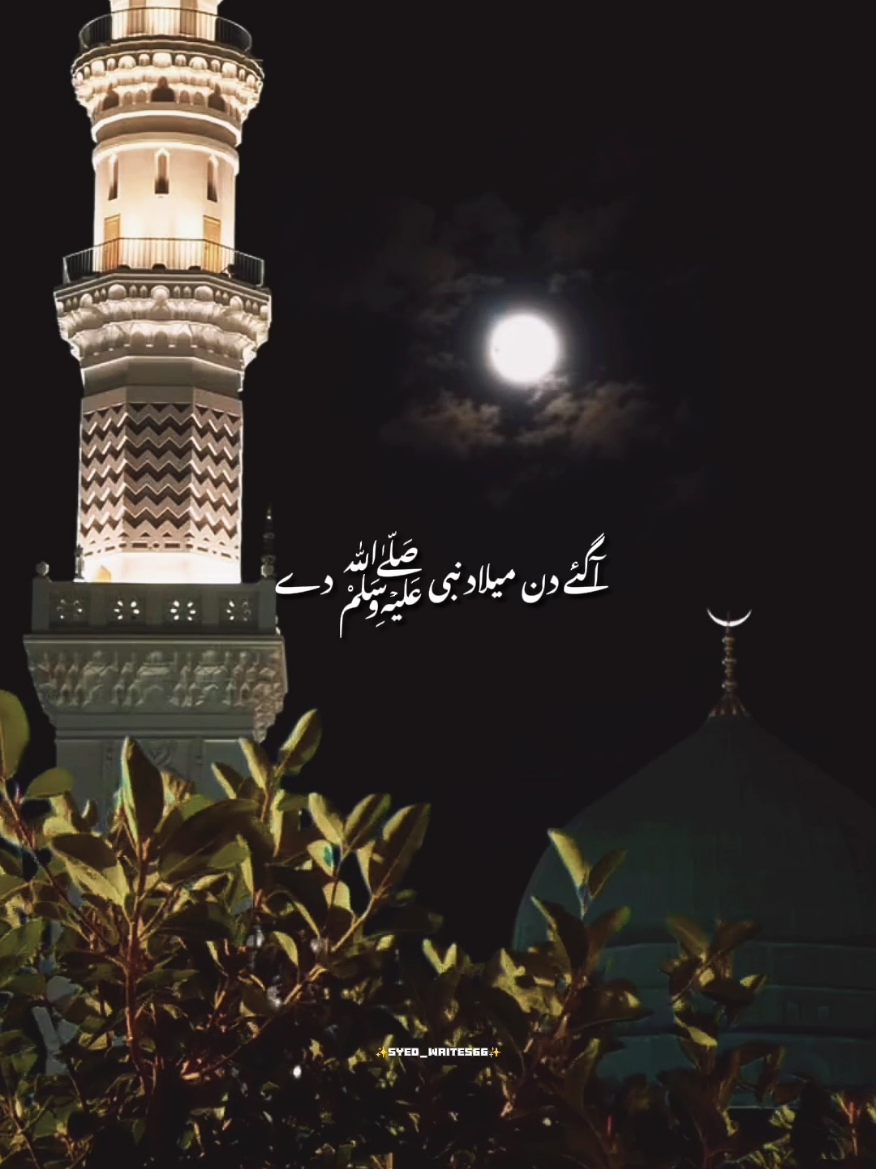 @✨𝗦𝘆𝗲𝗱 𝗪𝗿𝗶𝘁𝗲𝘀✨