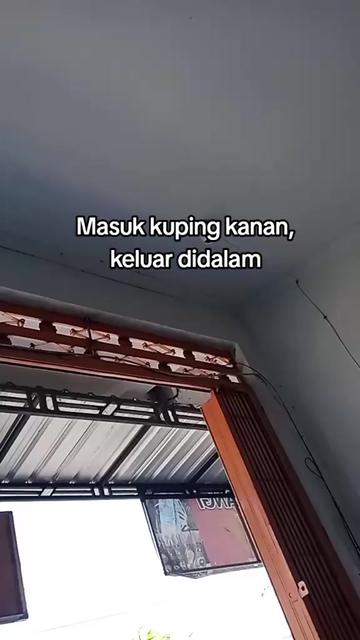 @Noviii