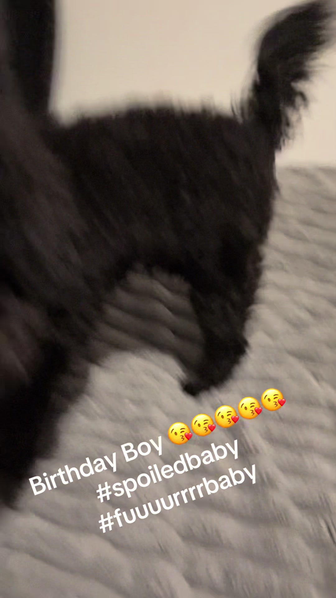 @Roji ❤️❤️❤️❤️