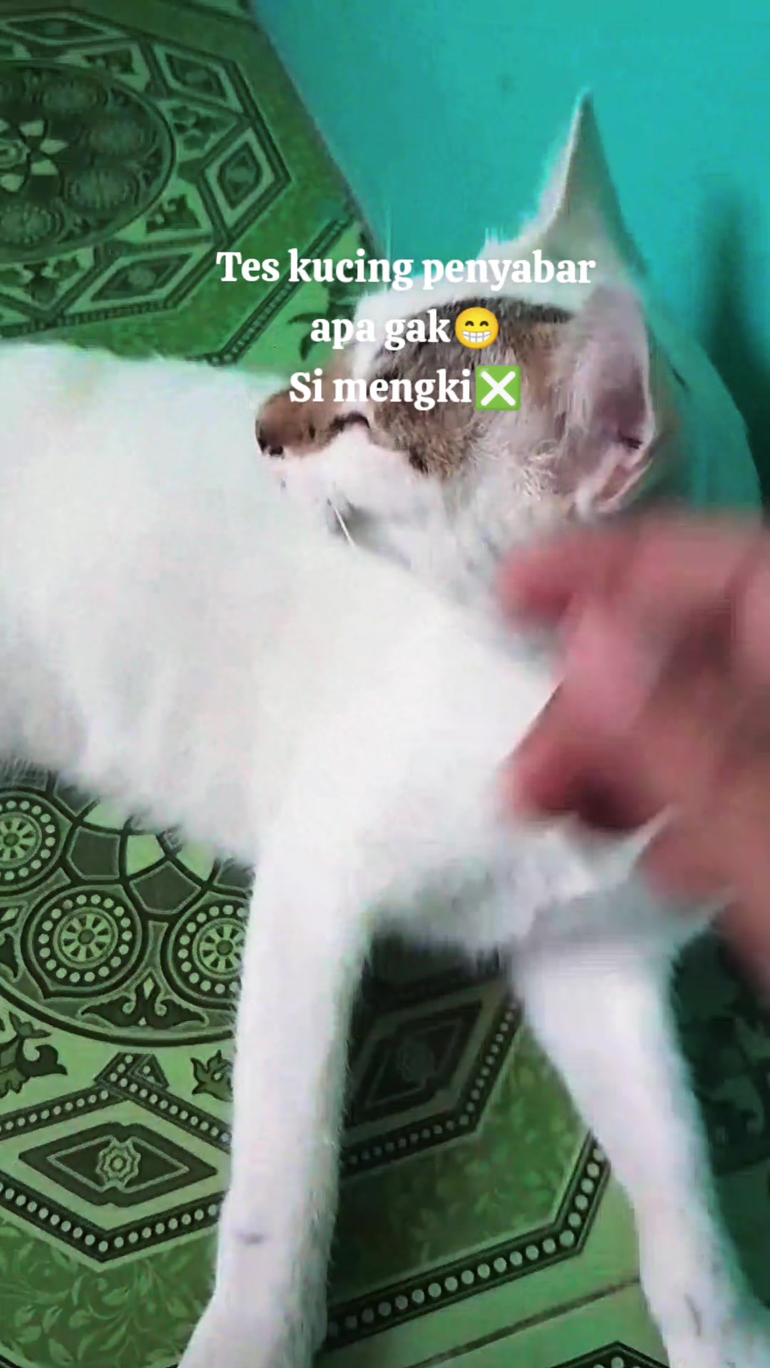 @yesi Indras