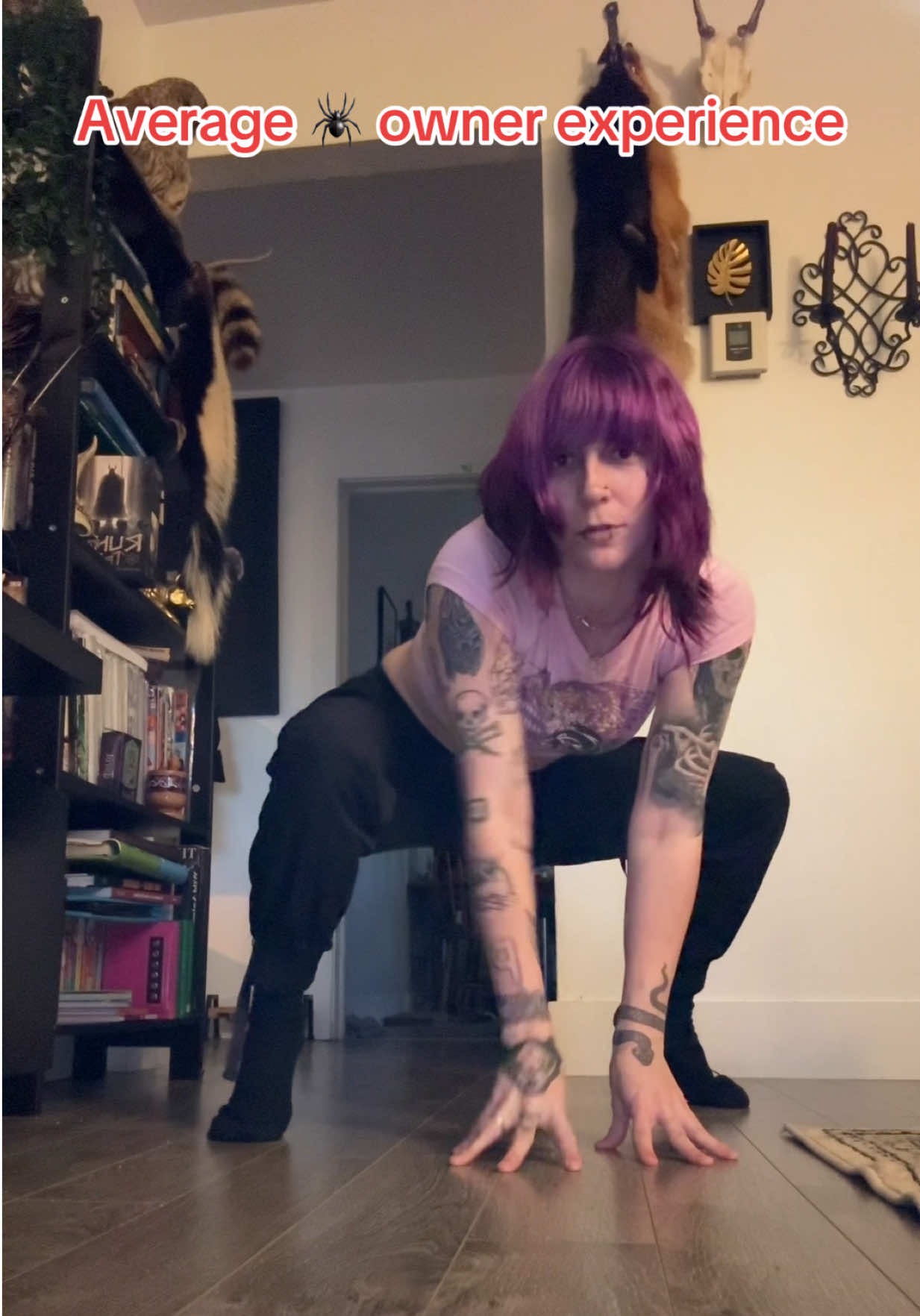@Queenofvikings