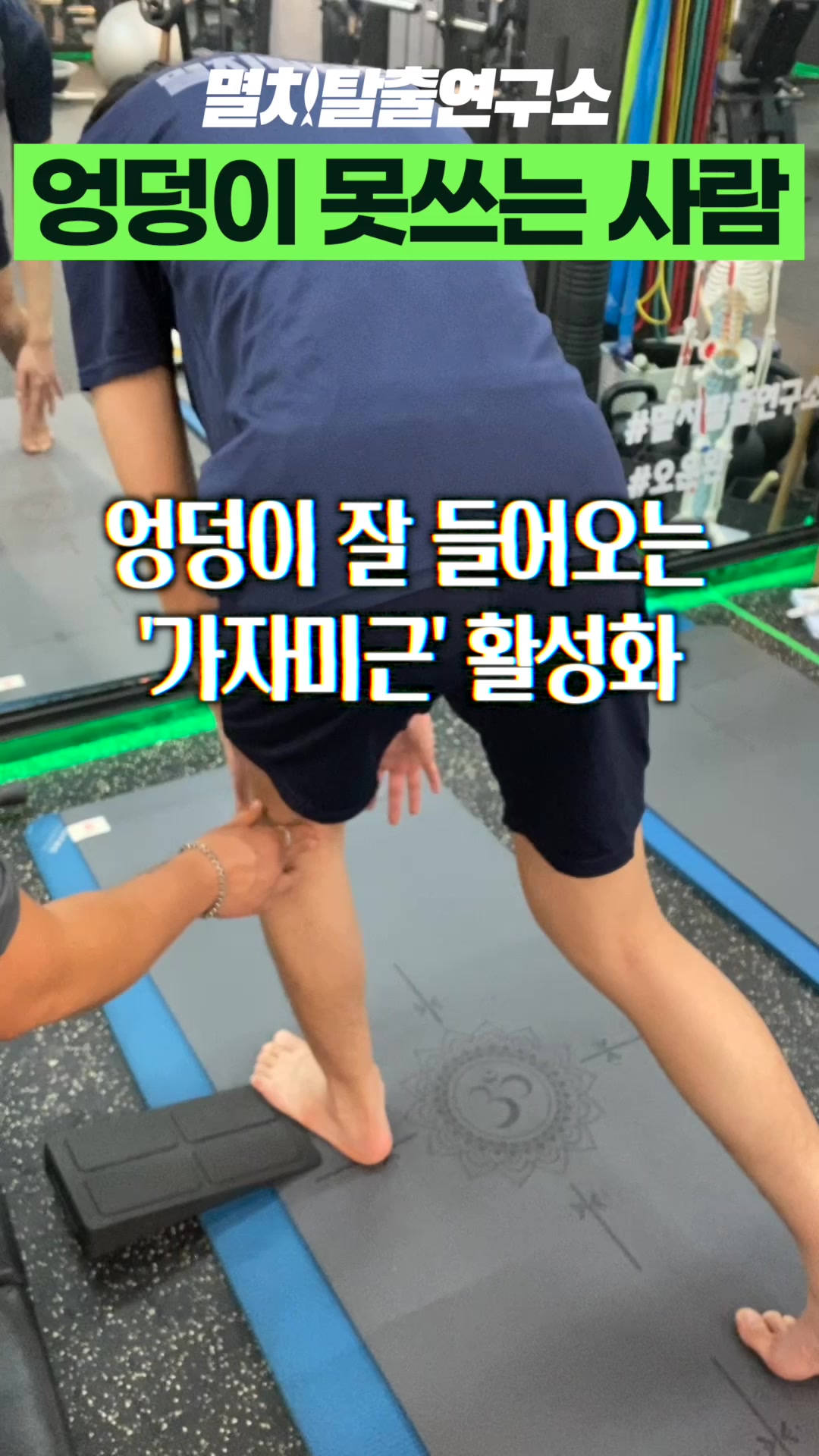 @멸치탈출연구소