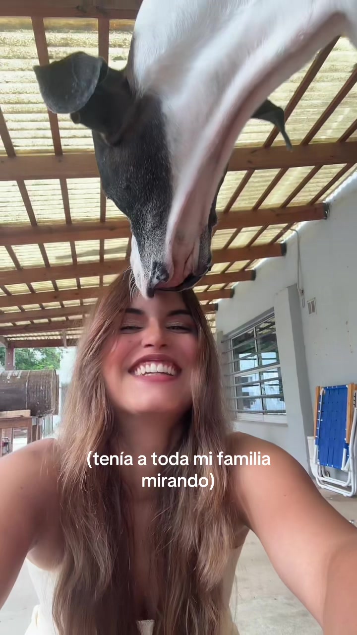 @maigolia