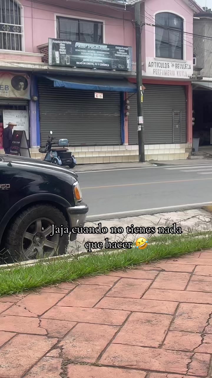 @angezootec🐷💗