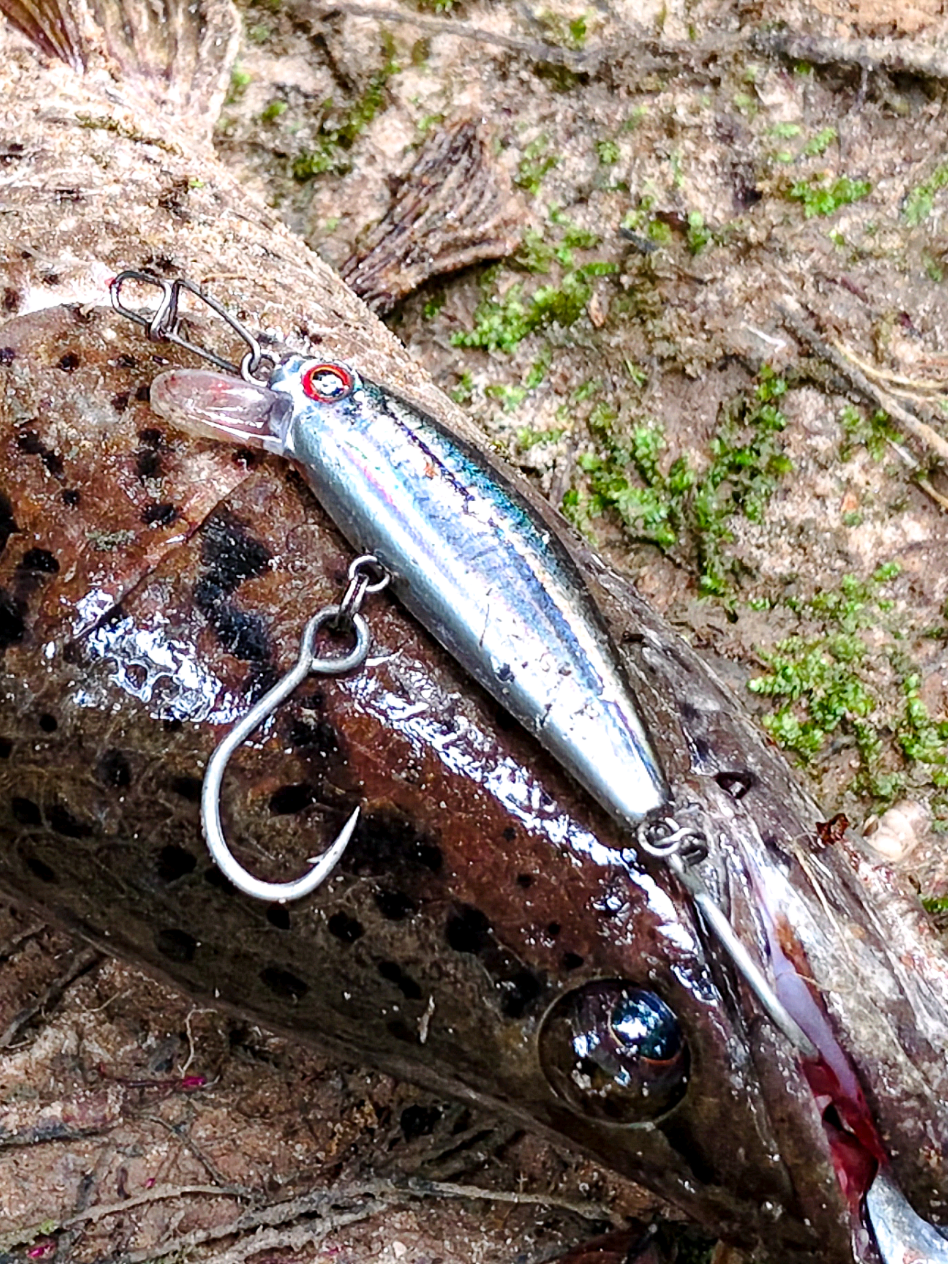 @Damz Strike Fishing