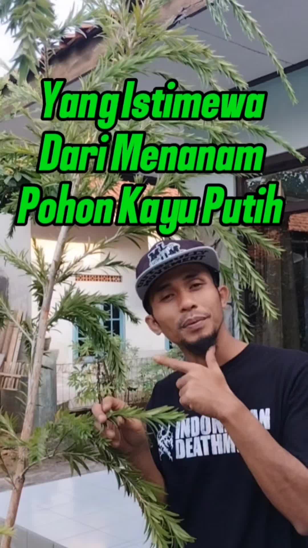 @Bukit Farming