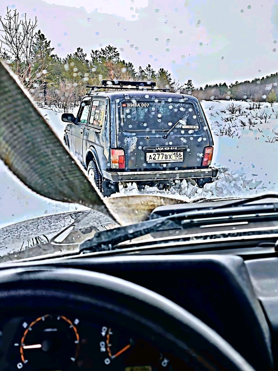 @niva 007