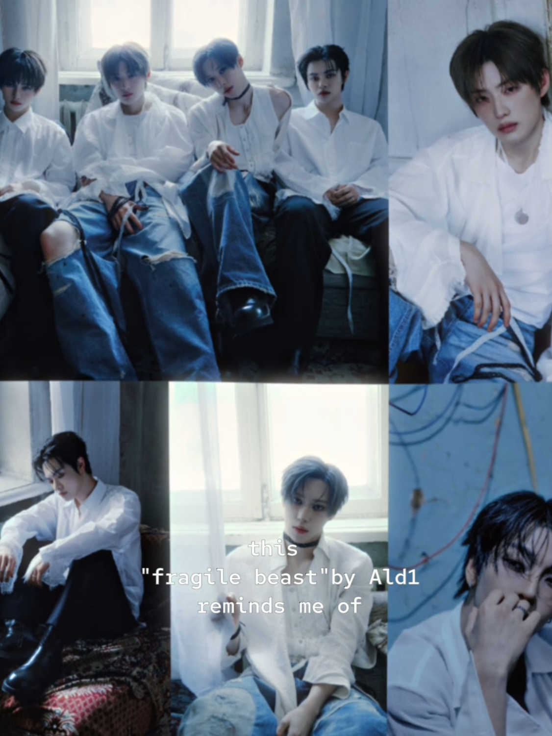 @ɴᴏᴄᴛᴜʀɴᴇ_ɴʏᴍᴘʜ🌷